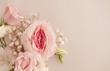 Labiaplasty Surgery in Turkey: Recovery, Benefits, Procedure 2026