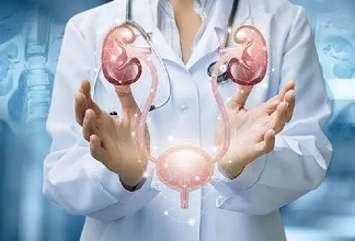 A Comprehensive Guide to Urinary and Reproductive Health