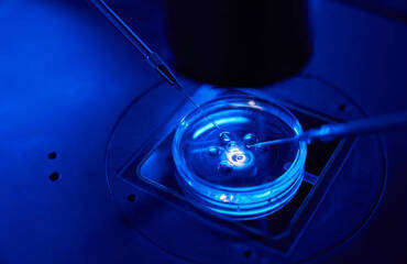 Pourquoi les Examens Médicaux Réguliers pour les Femmes Comptent Plus que Jamais